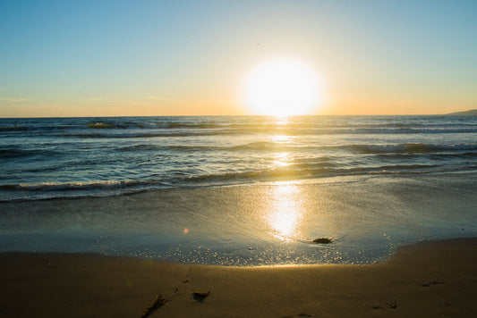 🌞 Sonnenpilze - Natürliche Vitamin D Supplementierung