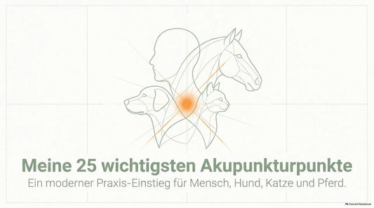 Meine 25 wichtigsten Akupunkturpunkte – für Mensch, Hund, Katze und Pferd