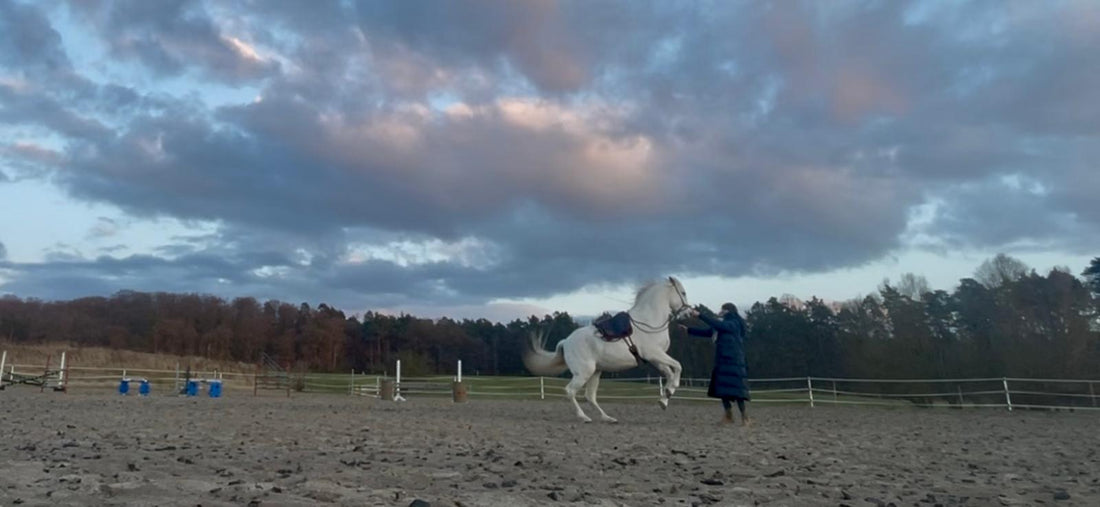 Fallbericht: Verzögerte Wundheilung