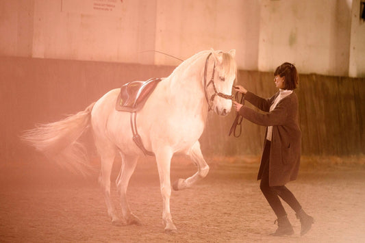 Integrative Therapie einer verzögerten Wundheilung beim Pferd
