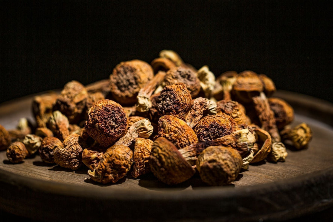 Agaricus blazei murill (ABM) zur Prävention bei Pollenallergie