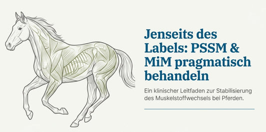 Allgemeine Muskelpathologien (MiM, MFM PSSM)